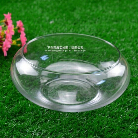 客厅碗莲盆透明玻璃花瓶水v培花盆大号鱼缸圆形乌龟缸水养植物器