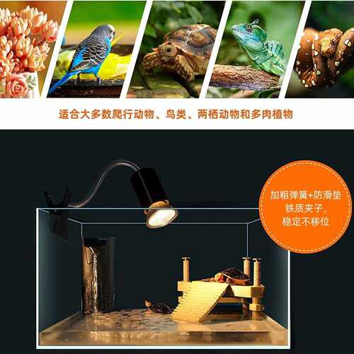 乌龟蜥蜴爬虫晒背灯爬宠UVB