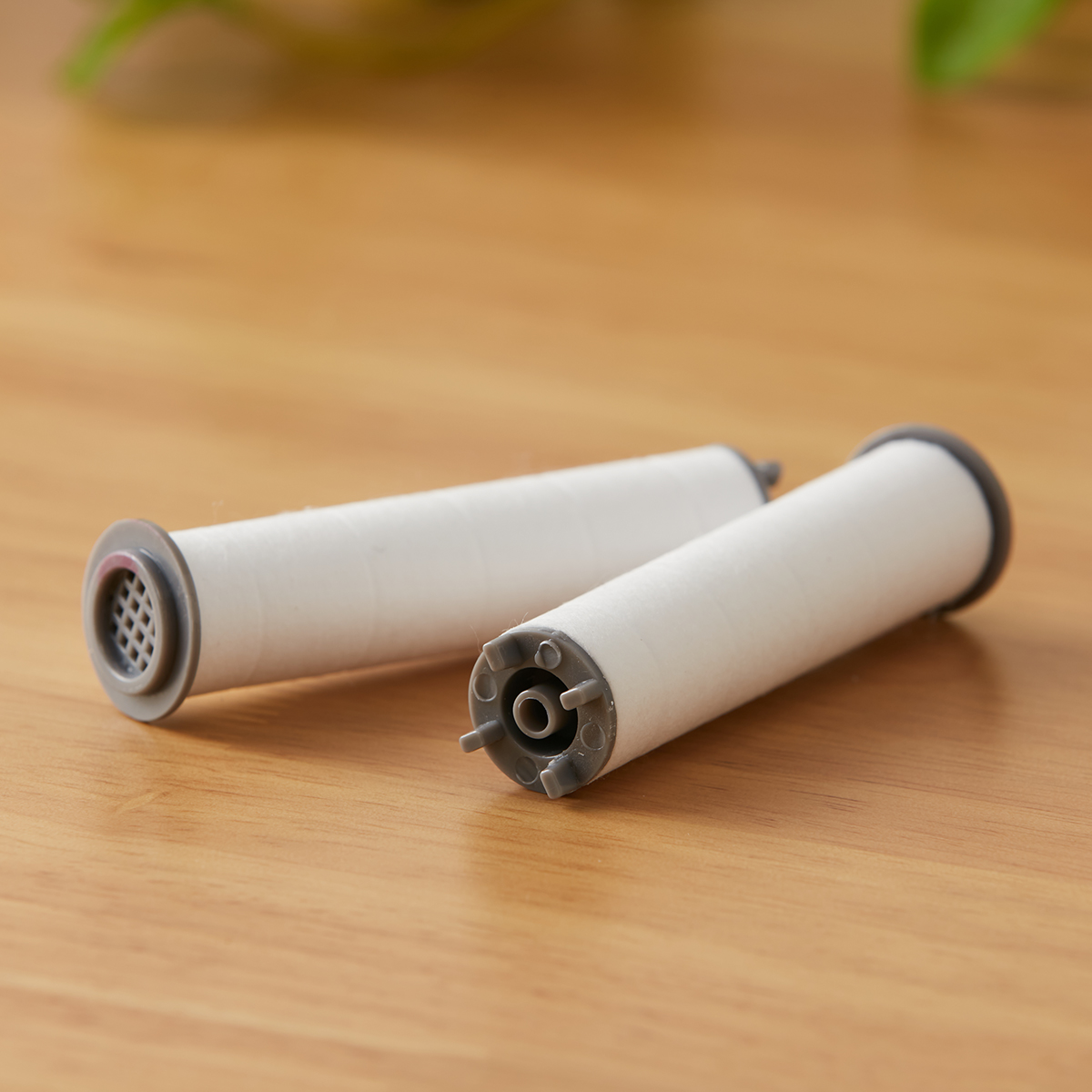 NITORI宜得利家居 银离子除余氯花洒用滤芯B 2支装