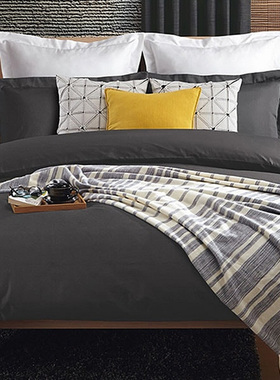 NITORI宜得利家居 纯棉秋冬保暖单件床单纯色简约全棉 SANDPOINT