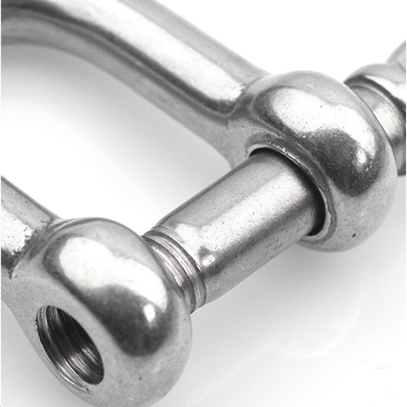 万尊316不锈钢d型卸扣m4d型卸扣*5(承重100kg)