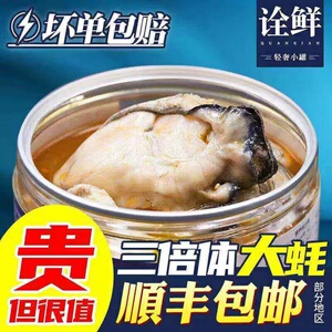 【捞汁生蚝】三倍体麻辣蒜蓉生蚝小海鲜下酒菜海鲜下饭菜特大号