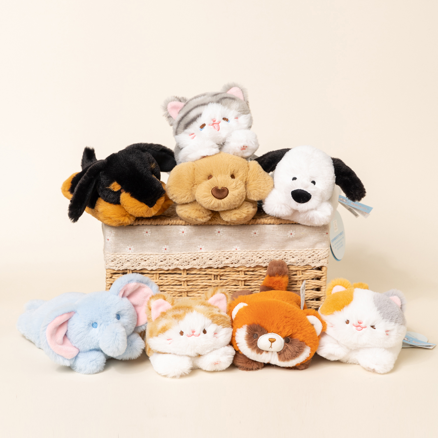 弹力颗粒系列 原装正版