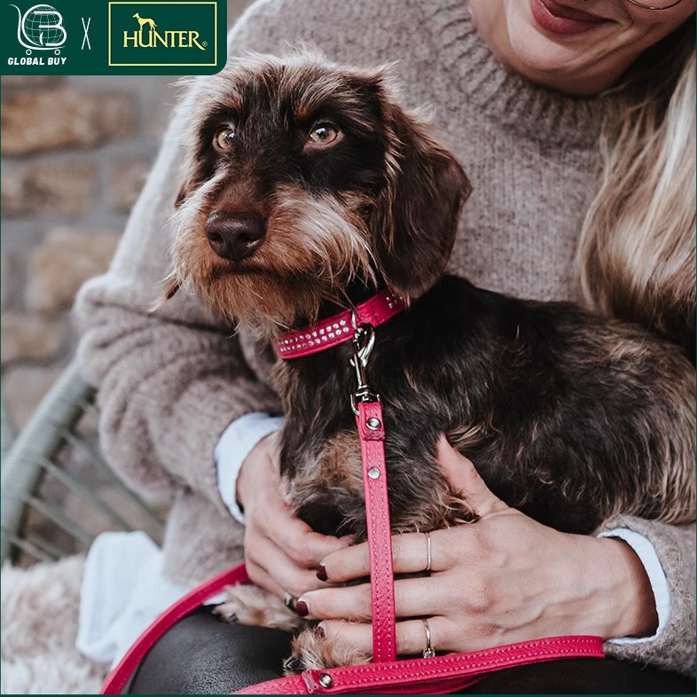 HUNTER德国极细系列真皮脖圈