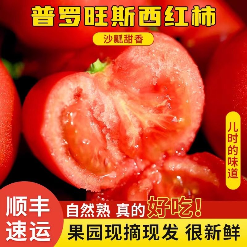 正宗普罗旺斯西红柿5斤自然熟沙瓤番茄新鲜现摘蔬菜生吃孕妇水果,水产肉类/新鲜蔬果/熟食,番茄,淘宝优惠券,粉丝福利购,淘宝优惠卷