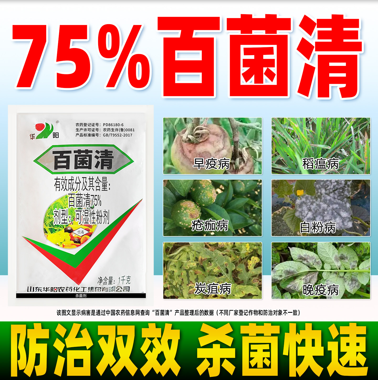 华阳75%百菌清杀菌剂白粉病霜霉病叶斑病稻瘟病农用药正品白菌清