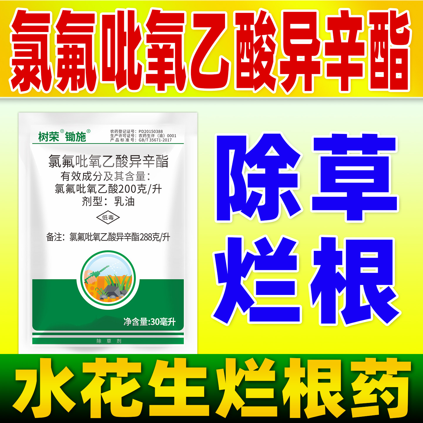 锄施氯氟吡氧乙酸异辛酯除草剂水花生除草烂根剂革命草除草农药