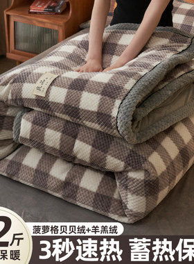 羊羔绒可拆洗棉被子新款冬季加厚保暖牛奶绒被套带被芯双面贝贝绒