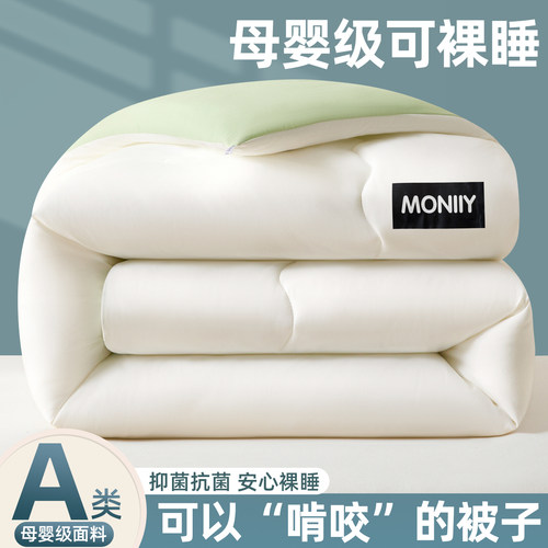 A类抑菌防螨被子被芯冬季棉被褥