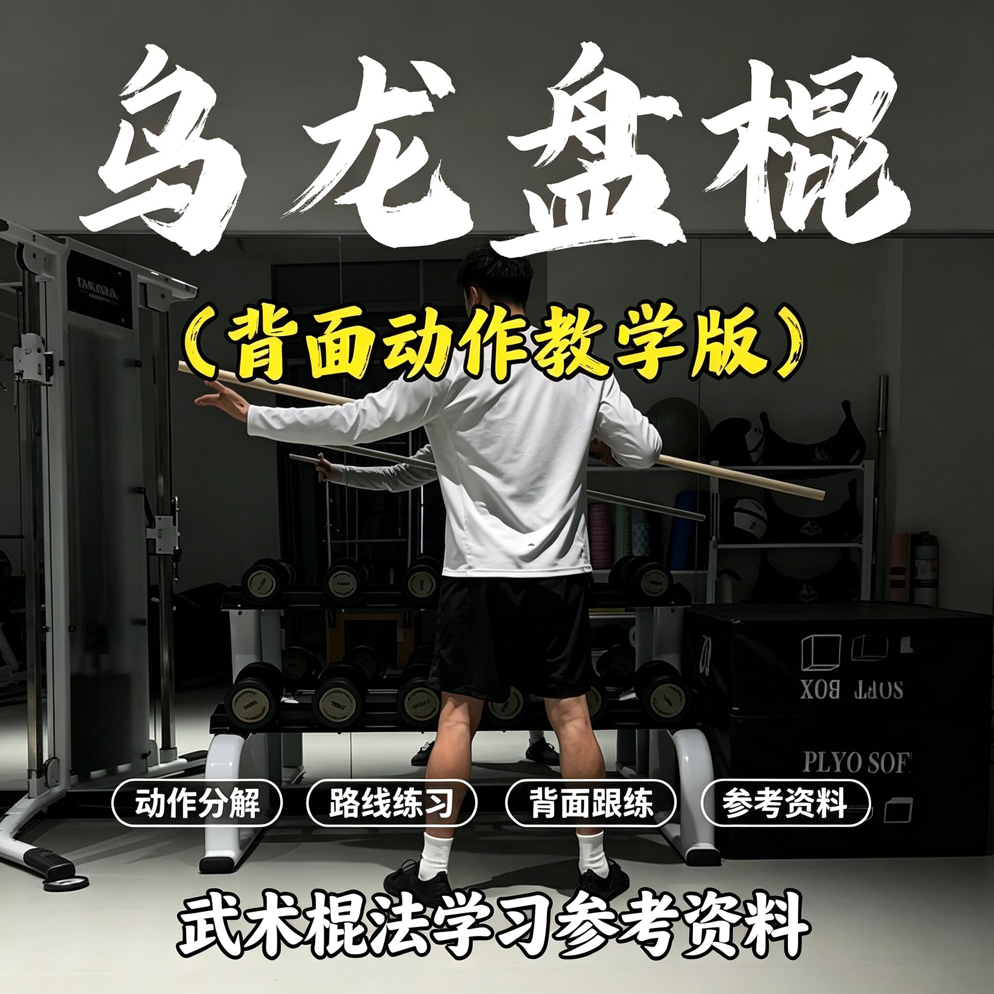 武术乌龙盘棍背面跟练教程棍法动作分解路线练习零基础自学资料
