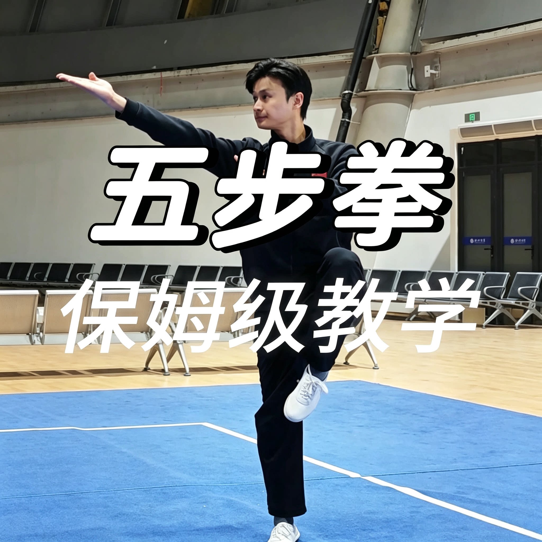 传统武术五步拳保姆级教程零基础招式拆解攻防动作分步健身精讲
