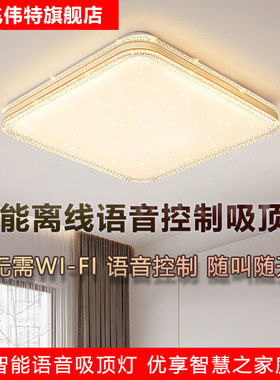 全光谱护眼LED智能语音吸顶灯无需连网声控遥控离线卧室客厅