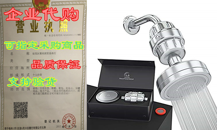 luxury filtered shower head set filter (metal) cartridge vit