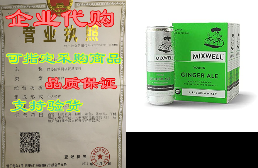 mixwell young ginger ale - premium mixer for drinks - mad
