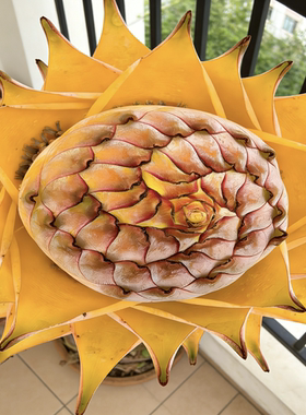  地涌金莲开花植物新手友好四季常青带花苞盆栽耐阴耐旱易养活