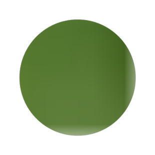 园林绿化苗木行道树苗植物花卉法桐苗法国梧桐苗法桐树苗速生法桐