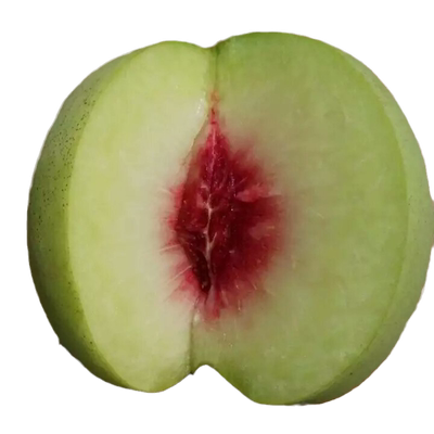 桃树苗晚熟特大品种10-11月成熟口感脆甜水分多（脆冬桃）