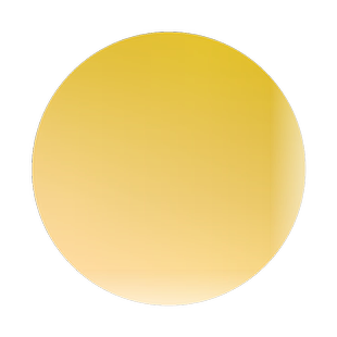 庆元甜桔柚苗黄金柑子苗建阳甜橘柚树苗桔子柚子苗当年结果甜桔柚