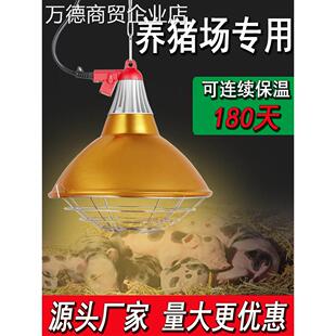 保温灯罩猪用养殖取暖灯灯育雏宠物兽用加热控温养猪场专用保温灯