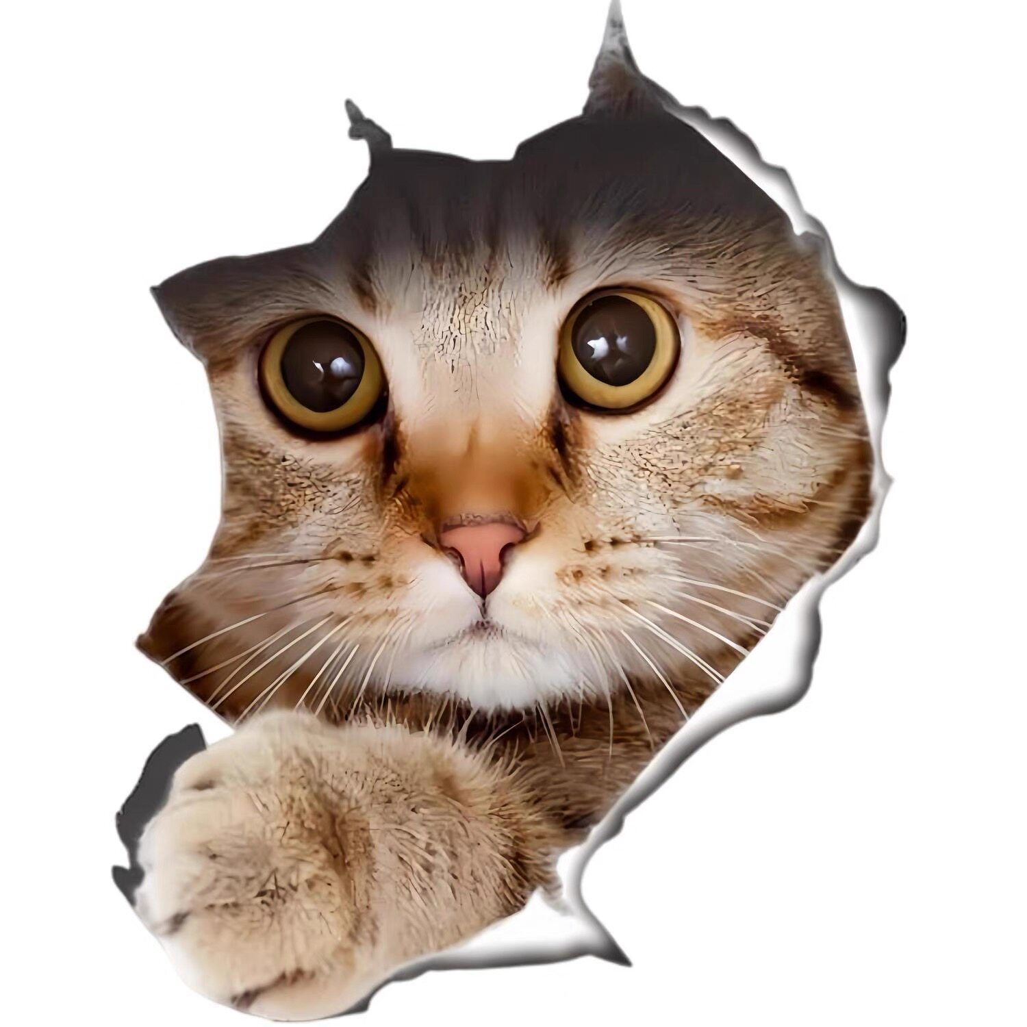 爆款卡爱仿3D视创意猫咪破洞贴纸趣味可爱动物墙贴装饰自粘贴画