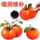 水果防水便利贴柿子贴纸装 饰小图案窟窿遮挡墙贴墙面裂痕遮盖贴画
