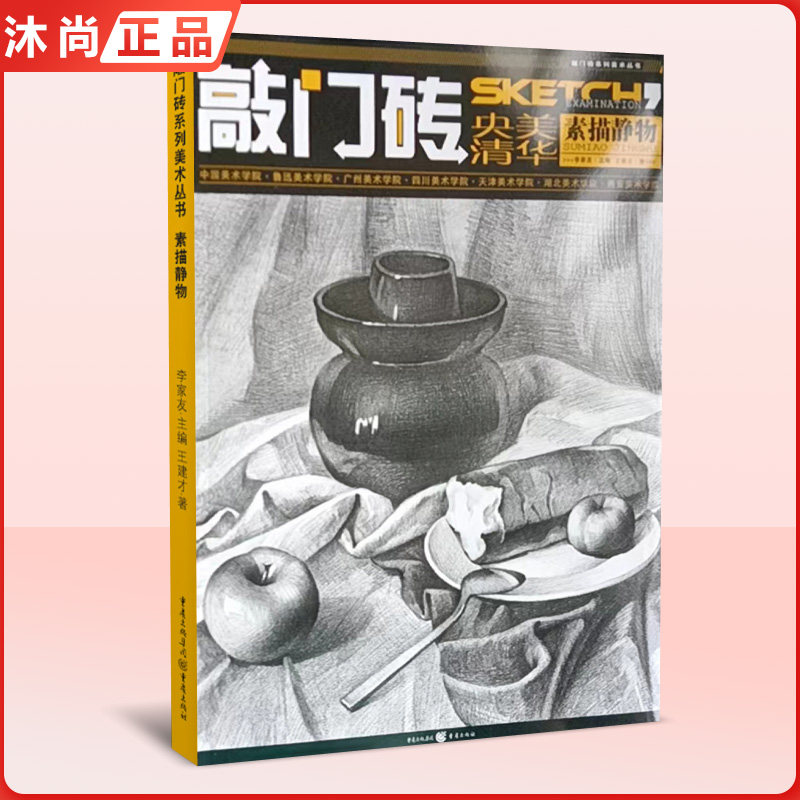 央美清华素描静物 敲门砖李家友王建才自学入门到精通美术基础临摹