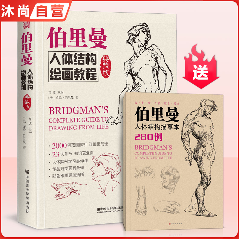 典藏版伯里曼人体结构绘画教程