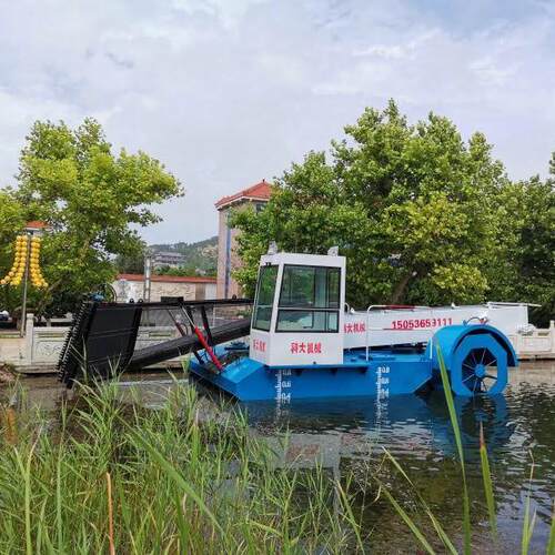 全自动割草船家 河道水草收割打捞船 葫水面水芦清水浮莲厂LJ-100