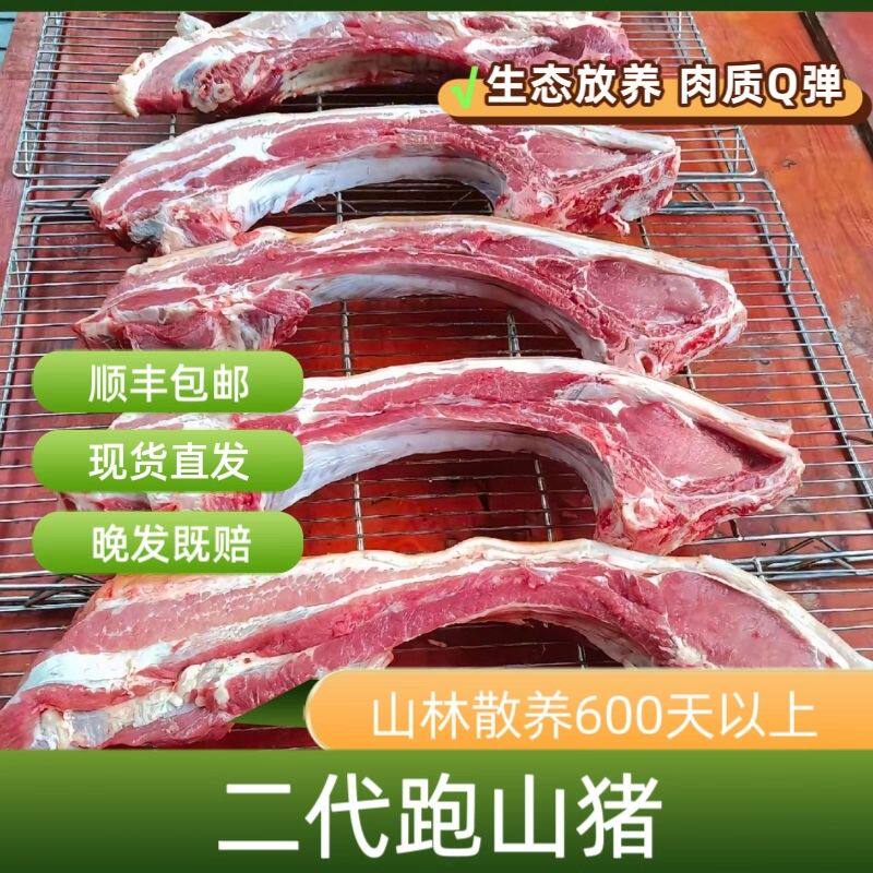 原生态野山猪二代山猪跑山猪农家土猪排骨腩原生态跑山猪儿时味道