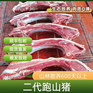 原生态野山猪二代山猪跑山猪农家土猪排骨腩原生态跑山猪儿时味道