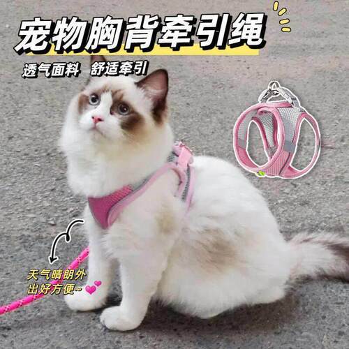 猫咪牵引绳可调节溜猫牵引绳猫绳子猫牵引防挣脱外出专用猫绳背带