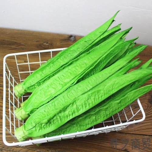 仿真油麦菜模型假蔬菜店铺橱柜家居装饰品摆设拍照摄影道具摆件