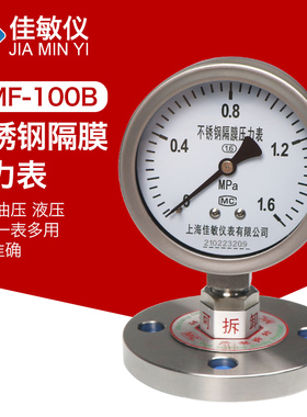 法兰隔膜压力表YTP100BF/MF DN25 DN40 DN50不锈钢耐震膜片压力表