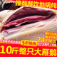 新鲜速冻10斤散养整只非鹅肉农家非老鹅非大白鹅肉生鲜赠送炖料