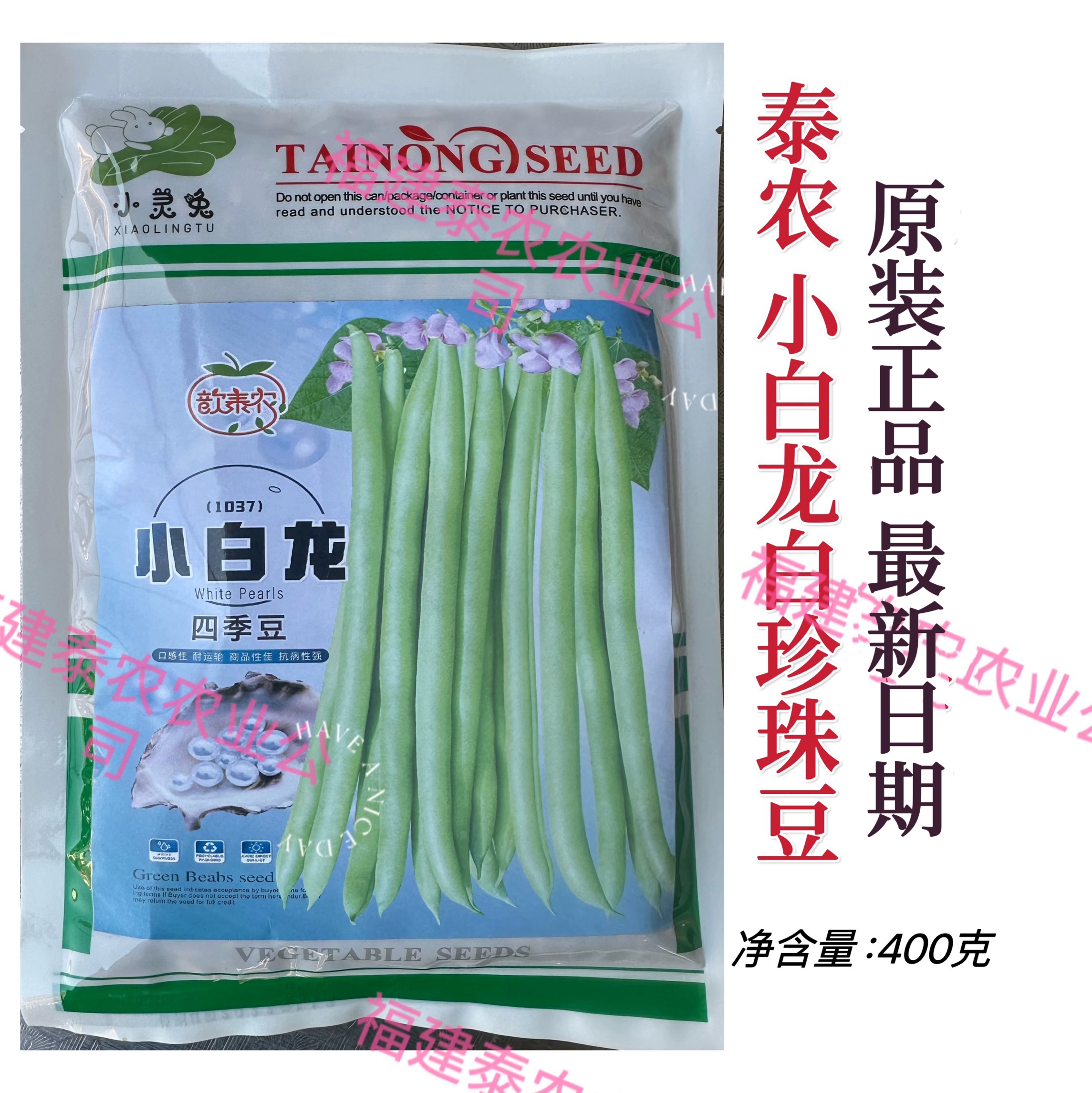 小白龙白珍珠架豆种子四季豆 无筋架豆 优质当季蔬菜种孑耐寒抗病