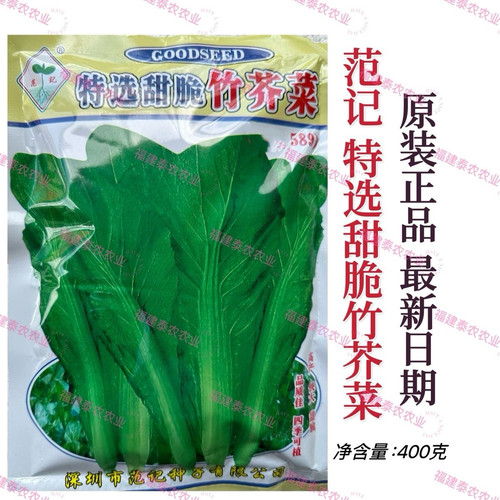 范记特选甜竹芥菜 香港竹芥菜 四季甜芥菜蔬菜种籽孑阳台盆蔬菜籽