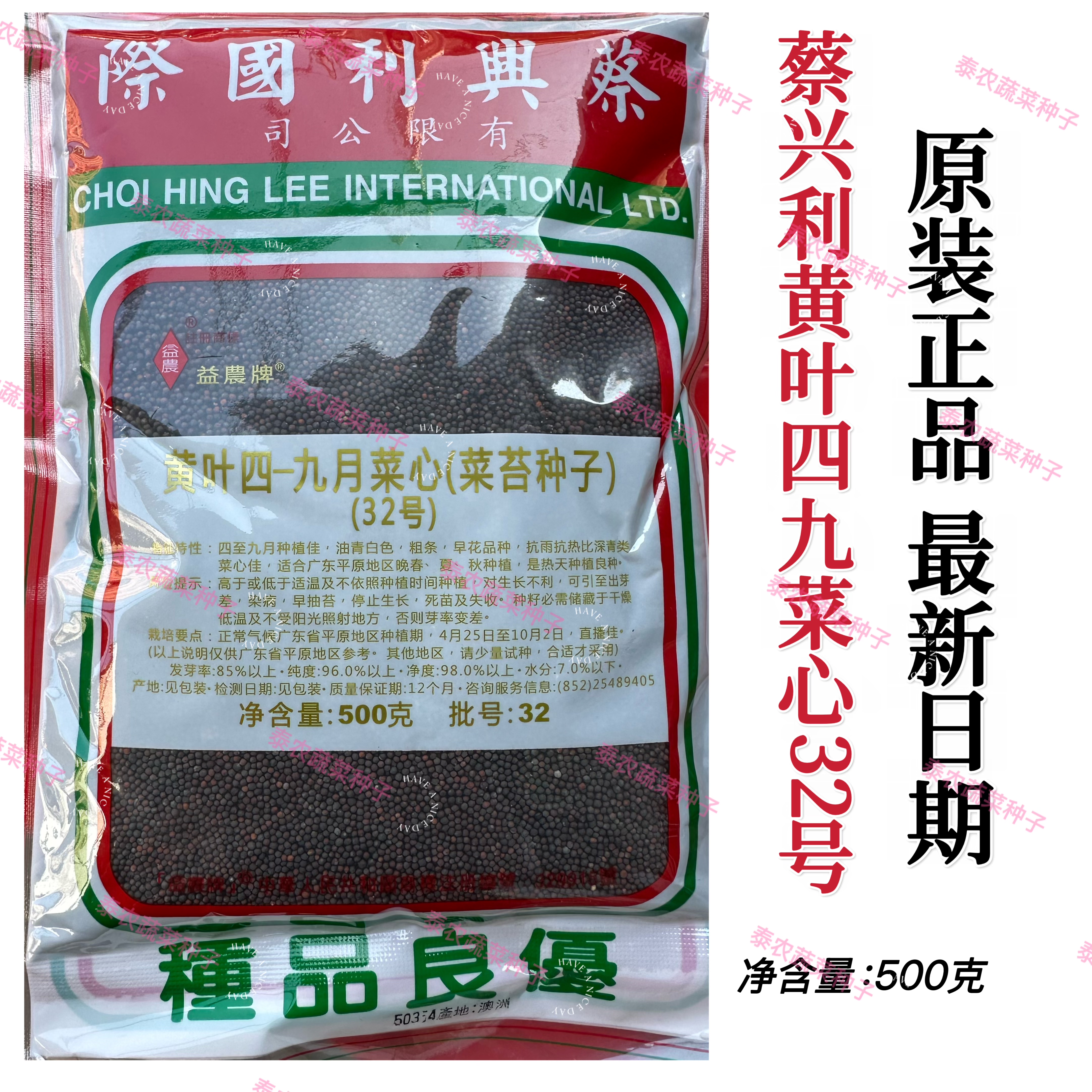 蔡兴利白梗黄叶四九菜心菜种籽32号耐热耐湿广东菜心种子蔬菜种孑