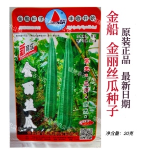 金丽丝瓜种子棱角瓜种子八角瓜种子高产耐寒耐热抗病金船原厂种子