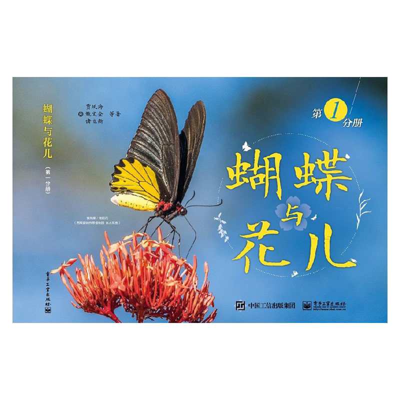 【出版社直供】蝴蝶与花儿第1分册 童书儿童绘本 介绍蝴蝶的种类 以及