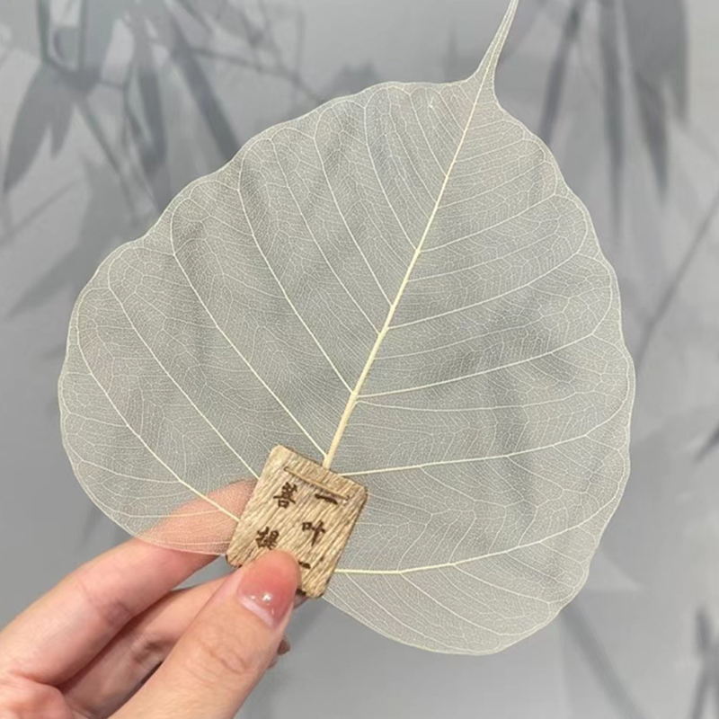创意菩提叶茶滤树叶茶漏过滤网功夫茶具配件茶滤网茶叶茶隔滤茶器
