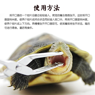 爬虫宠物乌龟巴西龟陆龟拒食喂药喂食灌药开口张嘴撬嘴器填食工具