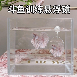 泰国斗鱼训练镜双面悬浮球展尾锻炼吸盘鱼缸造景内外雷龙互动镜子