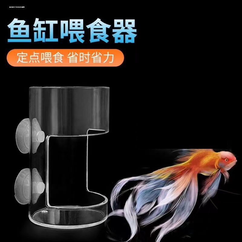 丰年鱼食鱼缸喂食孔雀鱼亚克力小型定点食管下沉飘散自动喂器神器