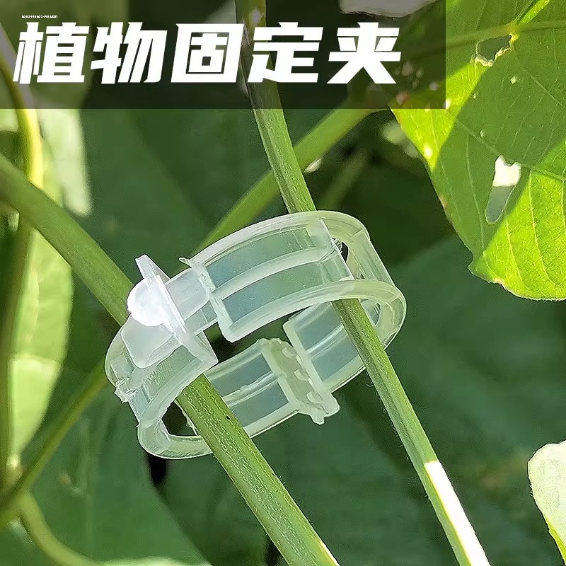 植物卡扣绑蔓夹瓜果蔬爬藤吊秧夹子黄瓜西红柿秧苗果树绑枝固定器