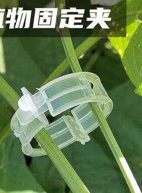 植物卡扣绑蔓夹瓜果蔬爬藤吊秧夹子黄瓜西红柿秧苗果树绑枝固定器