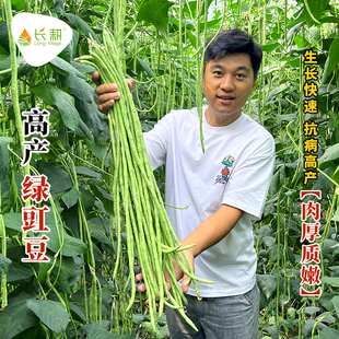 特长豇豆种子四季豆芸豆春秋季豆角种籽大全蔬菜种苗豆种蔬菜中孑