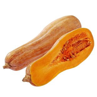 蜜本南瓜种籽香甜粉糯超大板栗味黄南瓜种子春秋季蔬菜大全南瓜孑