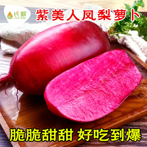 凤梨水果萝卜种子红皮红肉种籽甜脆萝卜蔬菜种子紫美人红萝卜四季