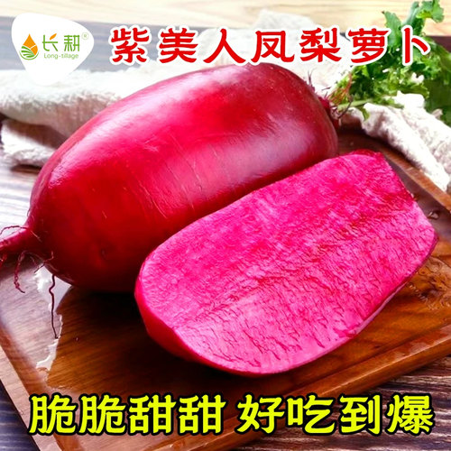 脆甜多汁 高产抗病