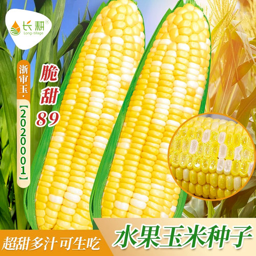 超甜双色水果玉米种子高产甜玉米